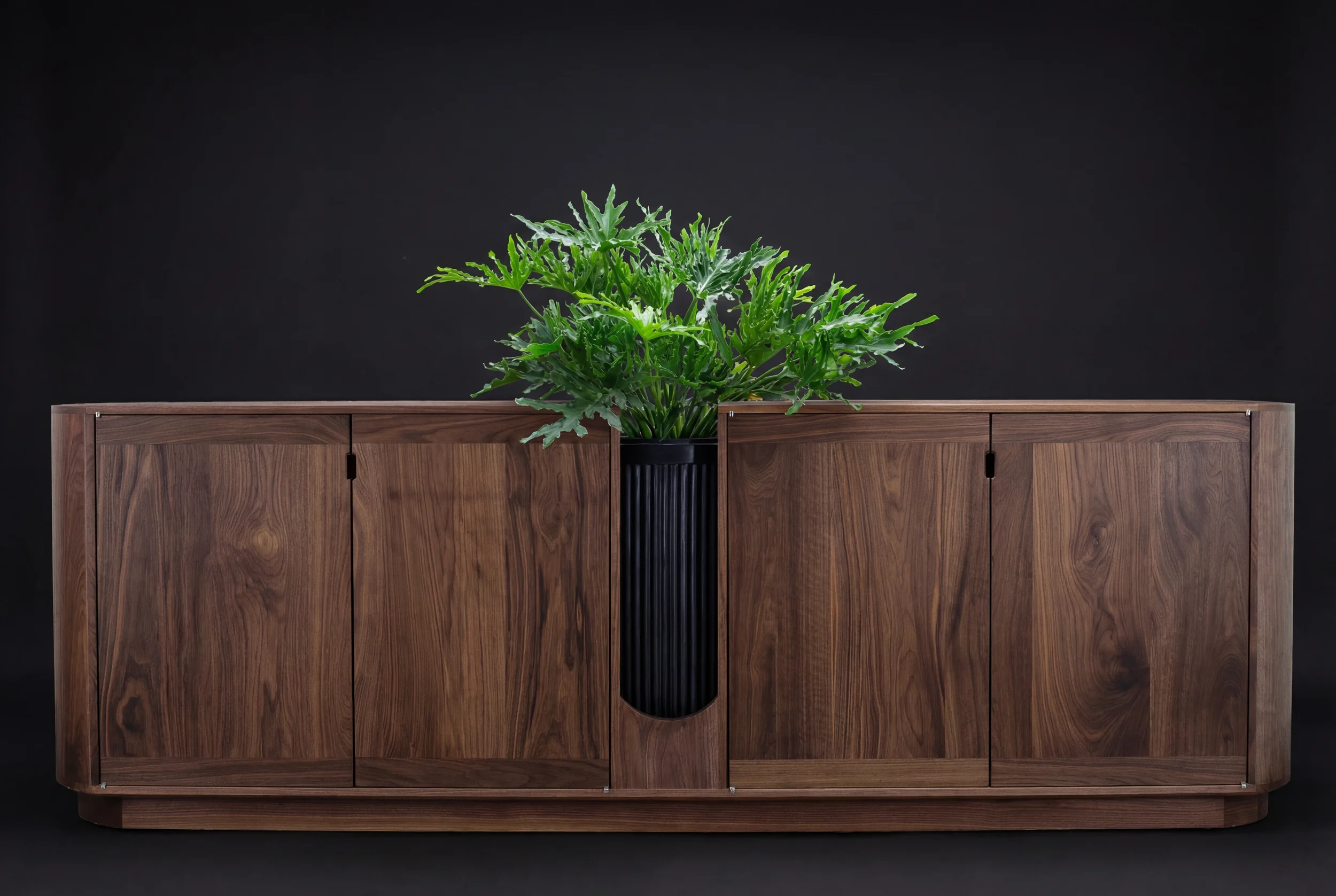 A potted green leafy plant on a wooden cabinet against a black background.