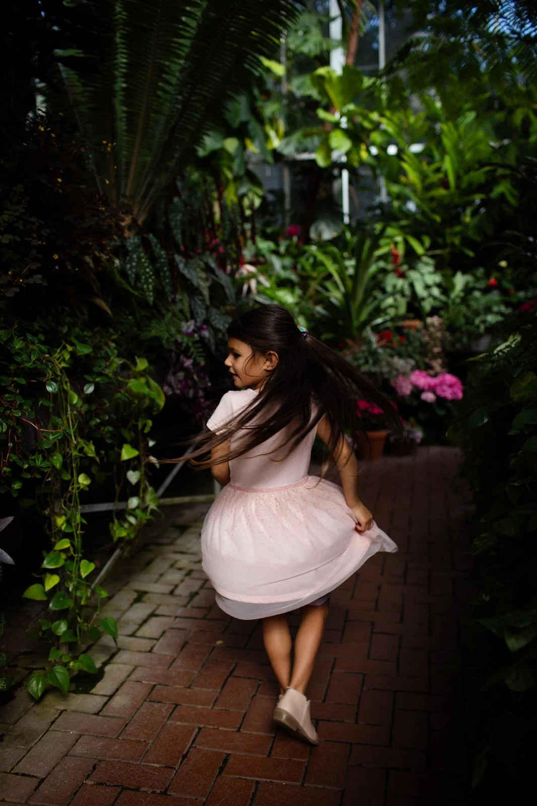 Family photography