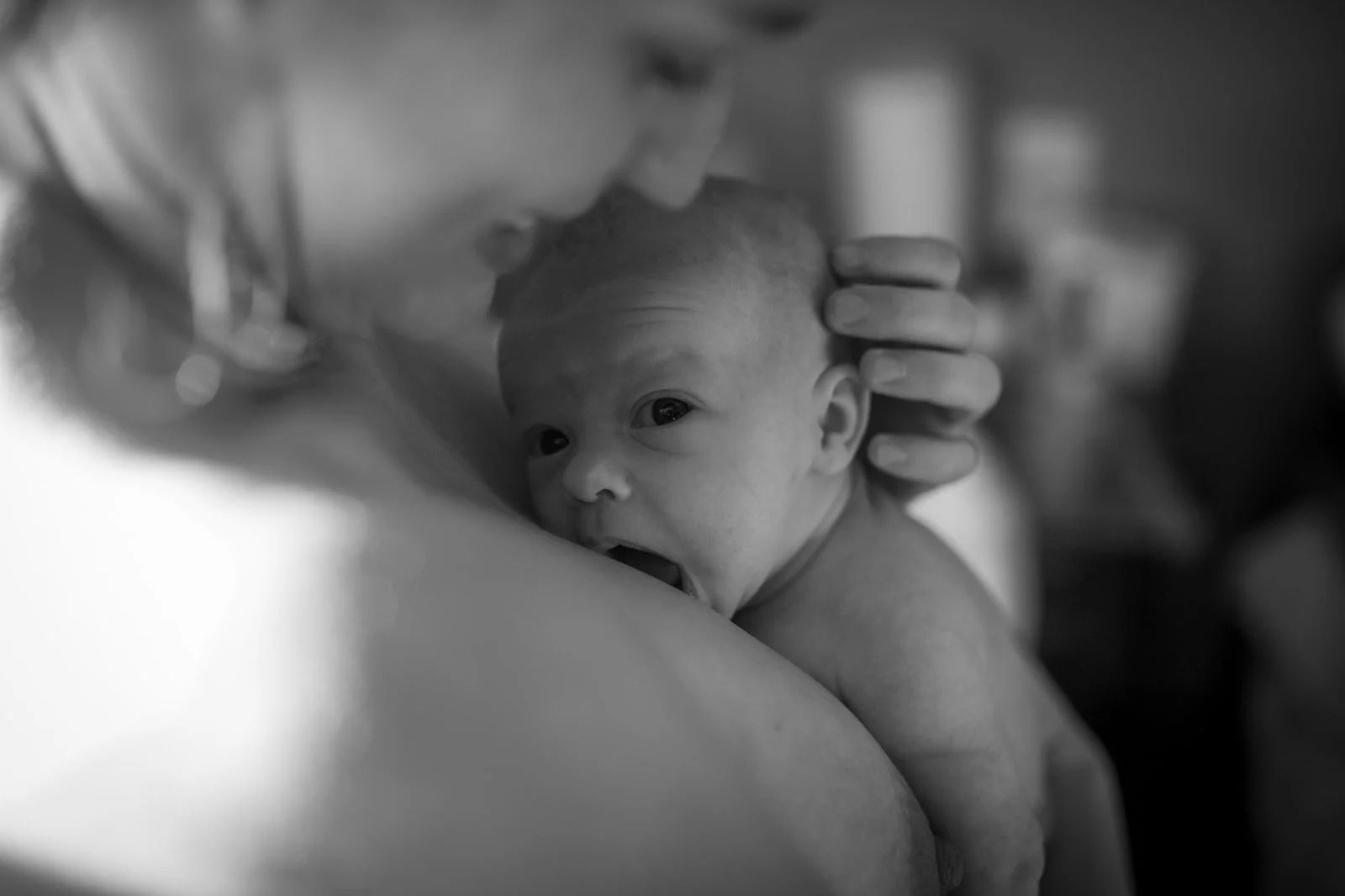 IMG_8809_websize.jpg