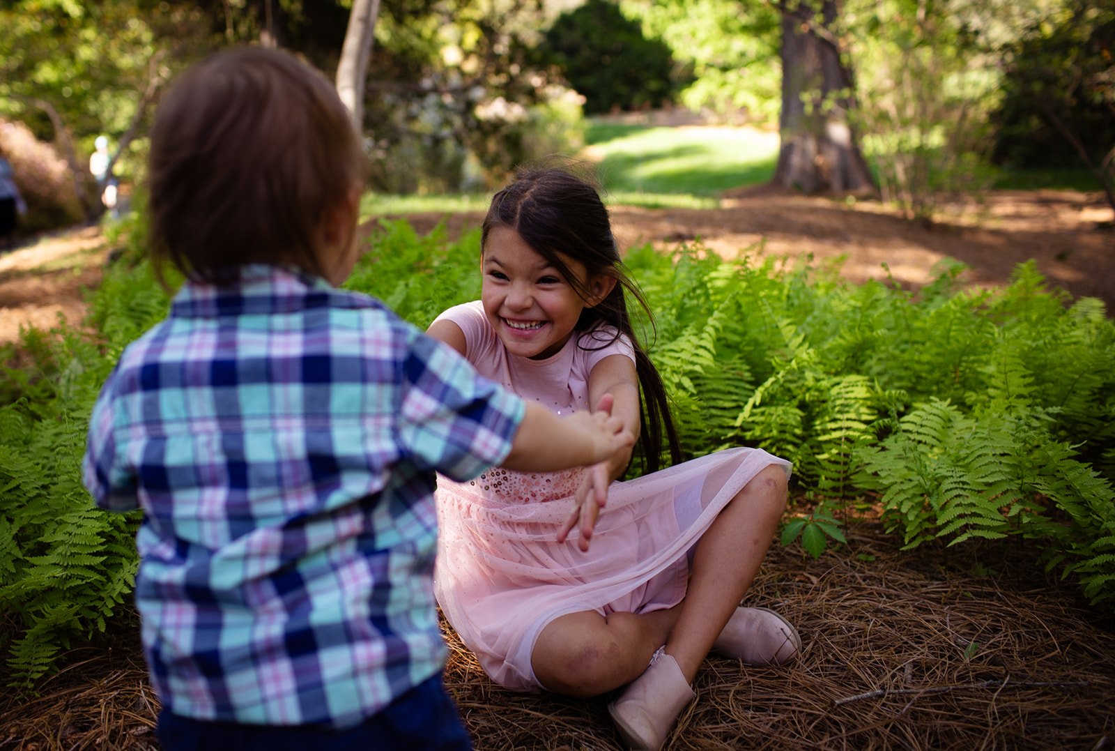 Family photography