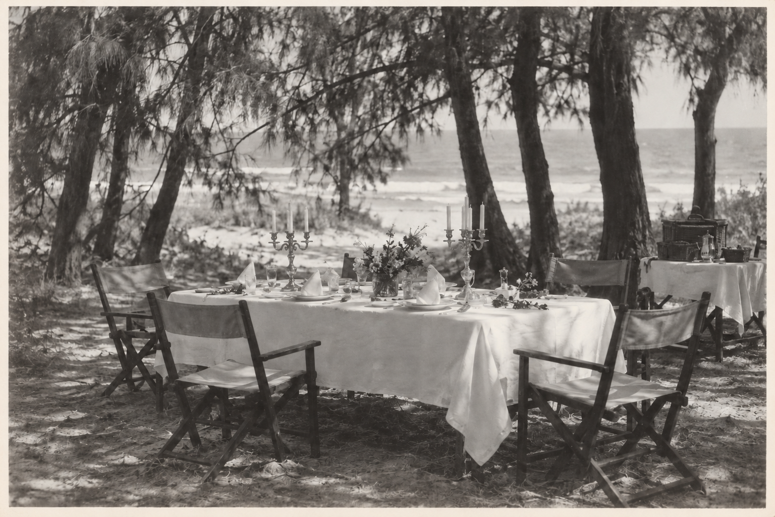 26) The table under the casuarinas.