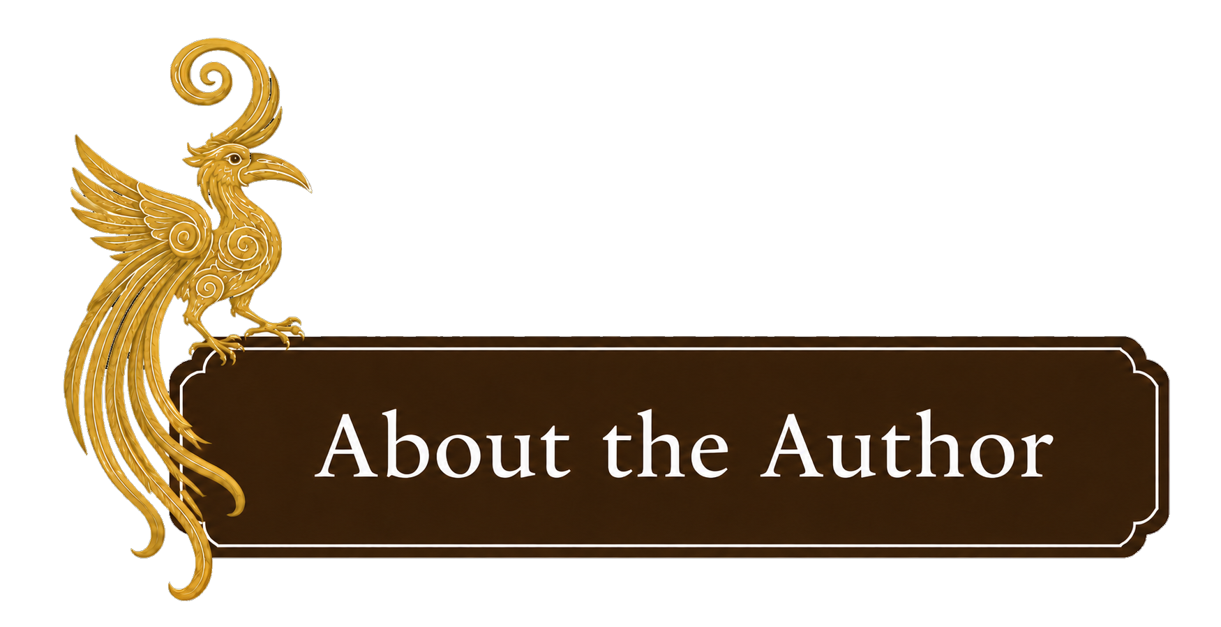 About the Author