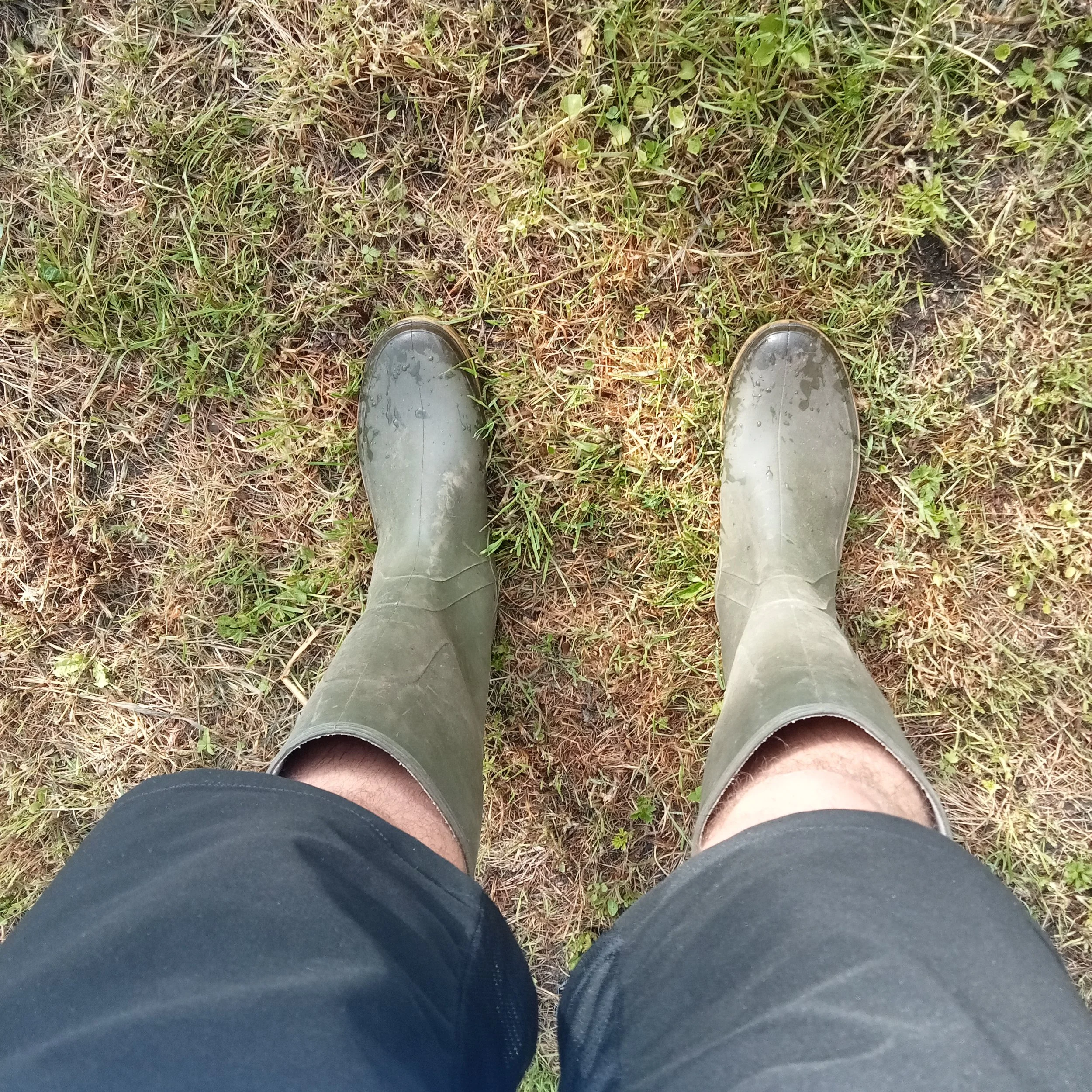 Pieds chaussés de bottes en caoutchouc sur de la terre meuble et de l'herbe sèche.