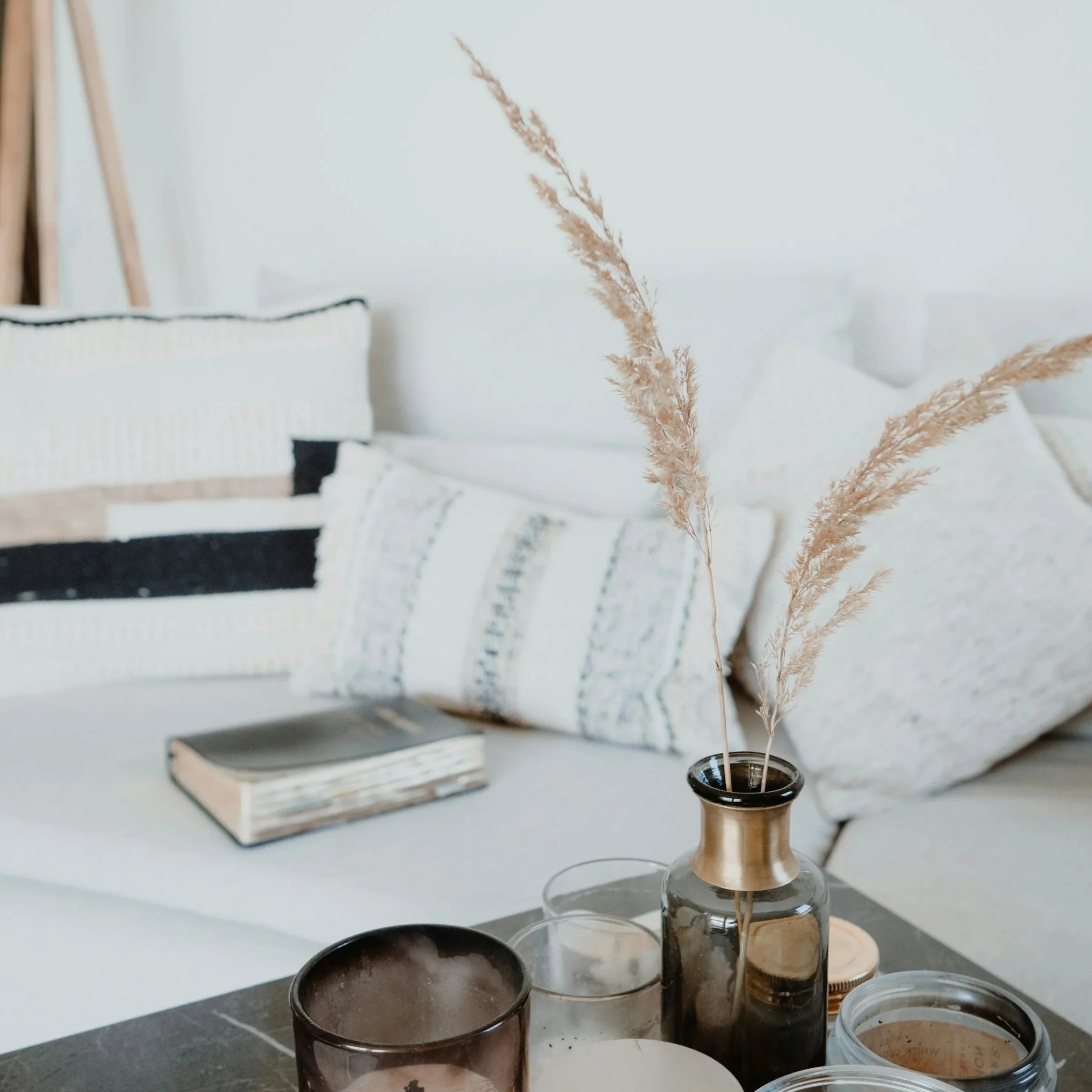 jasmin-ne--2tbXC0kW7U-unsplash+%281%29.jpg