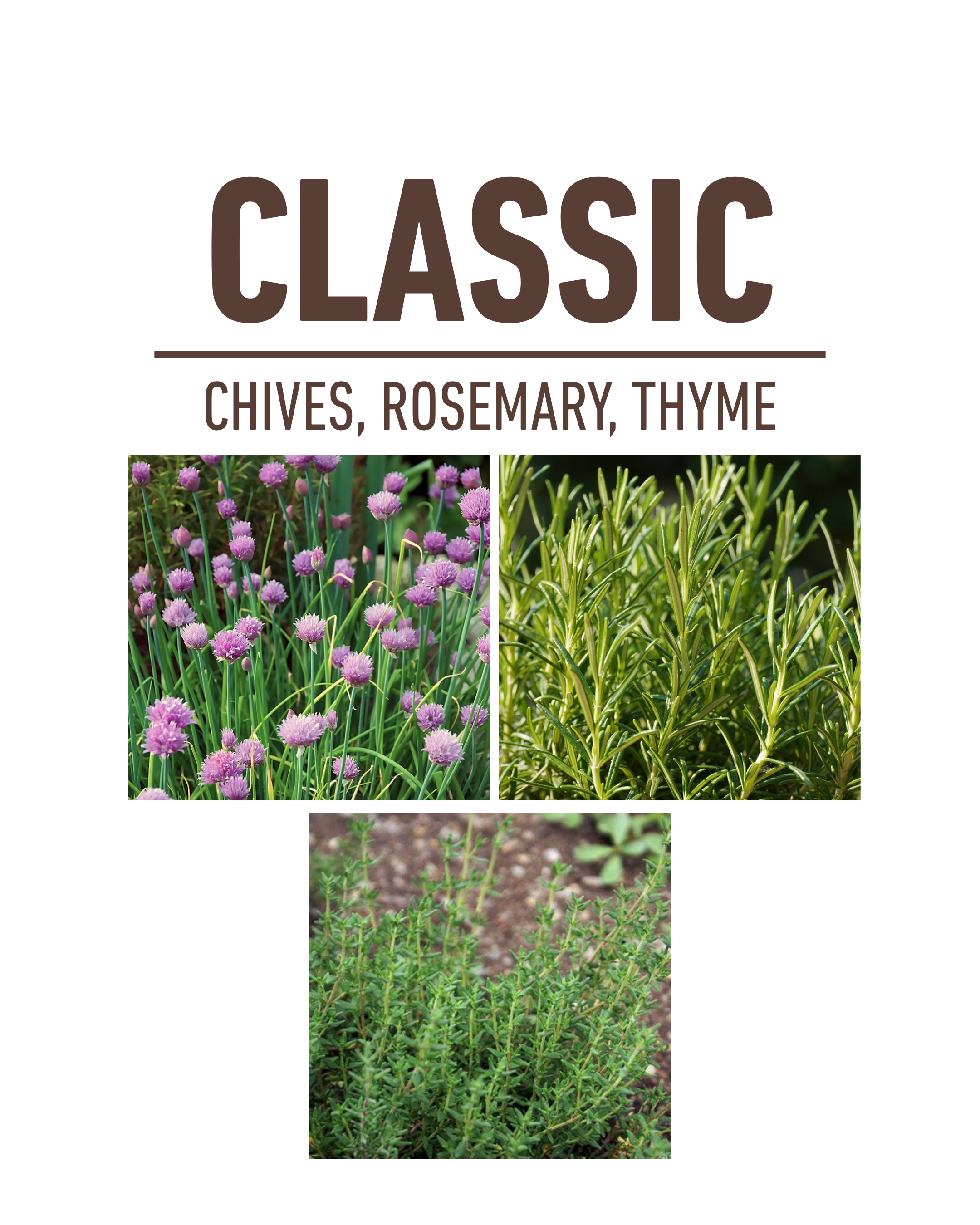 Classic Herb Garden