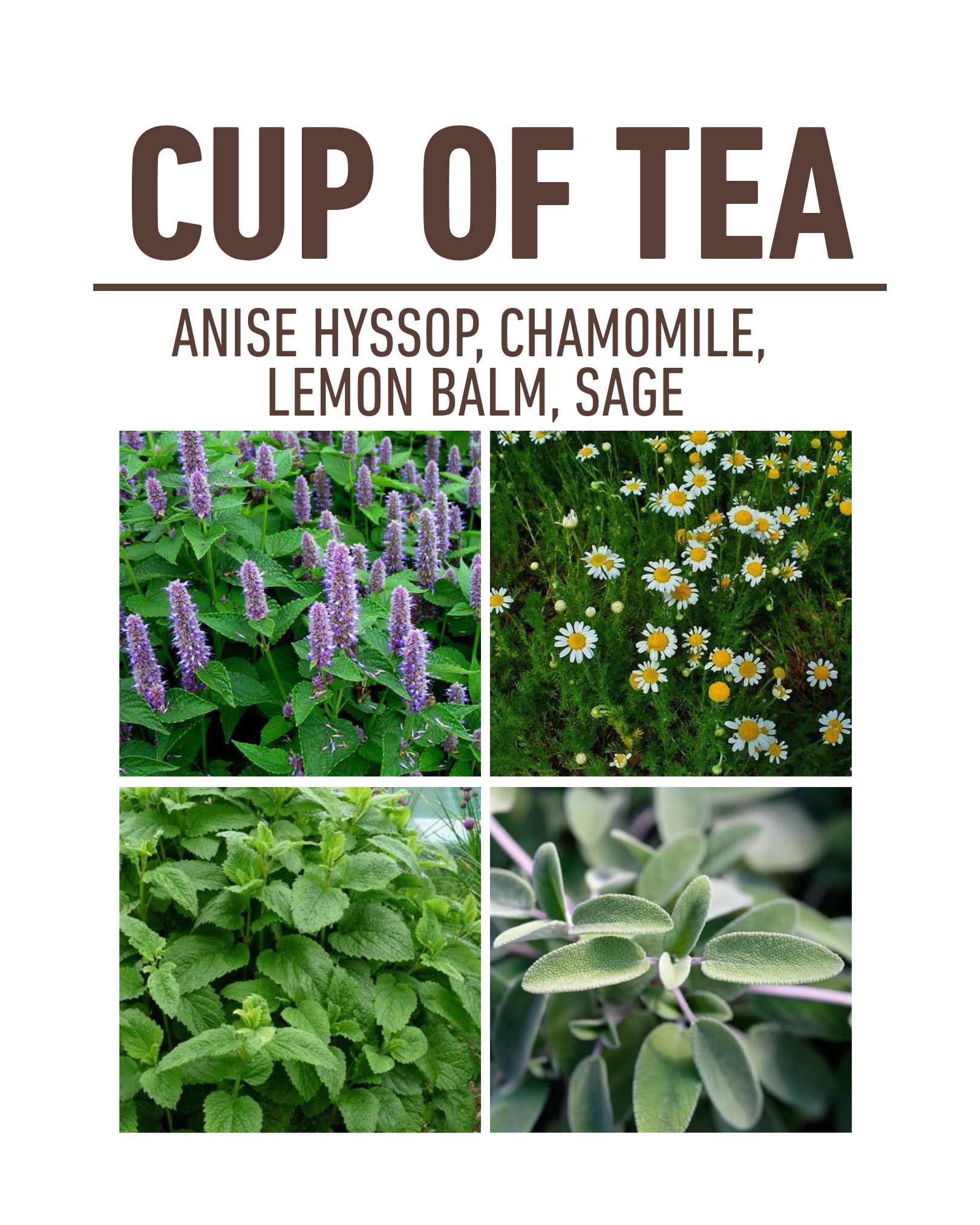 Tea Container Garden