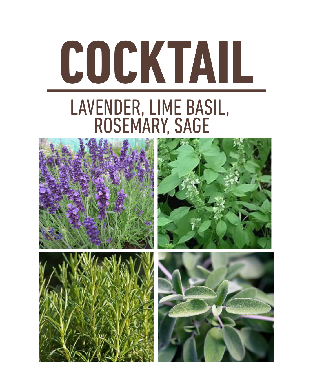 Cocktail Container Garden