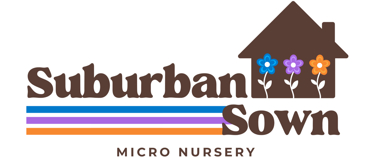 Suburban Sown