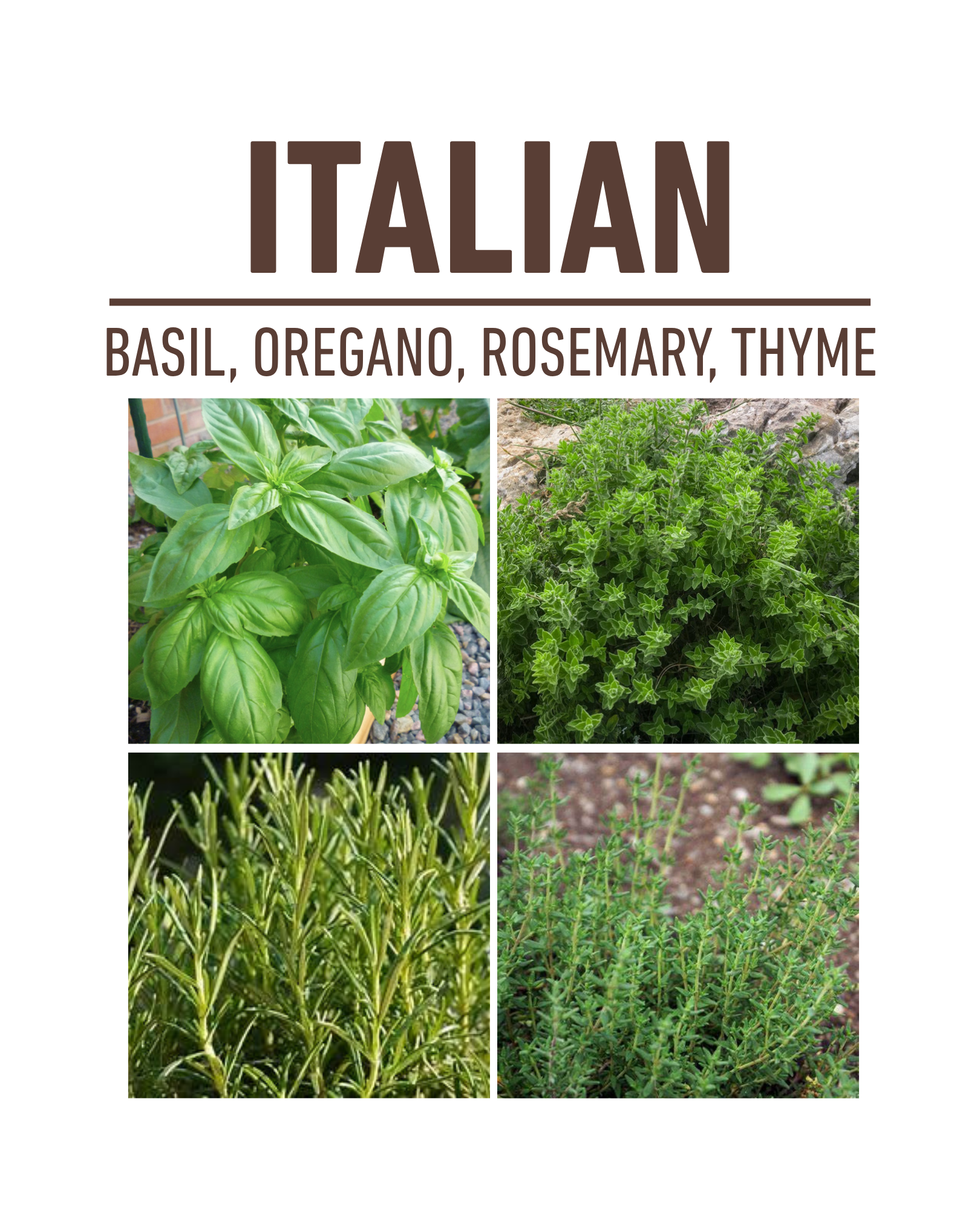 Italian Container Garden