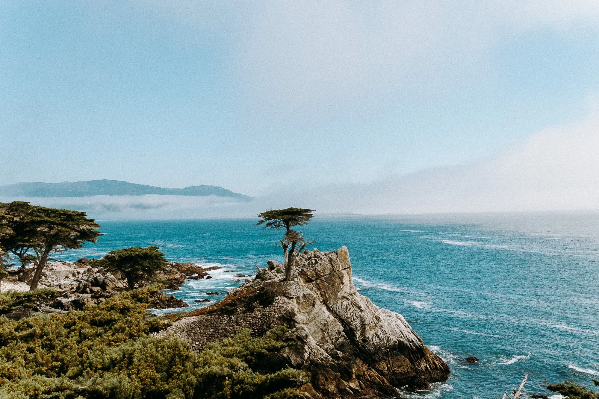The Lone Cyprus, California. Scenic coastal landscape with rocky cliffs, green vegetation, and the lone Cyprus on a small rocky outcrop overlooking the ocean. Calm waves and distant mountains in the background under a clear blue sky.