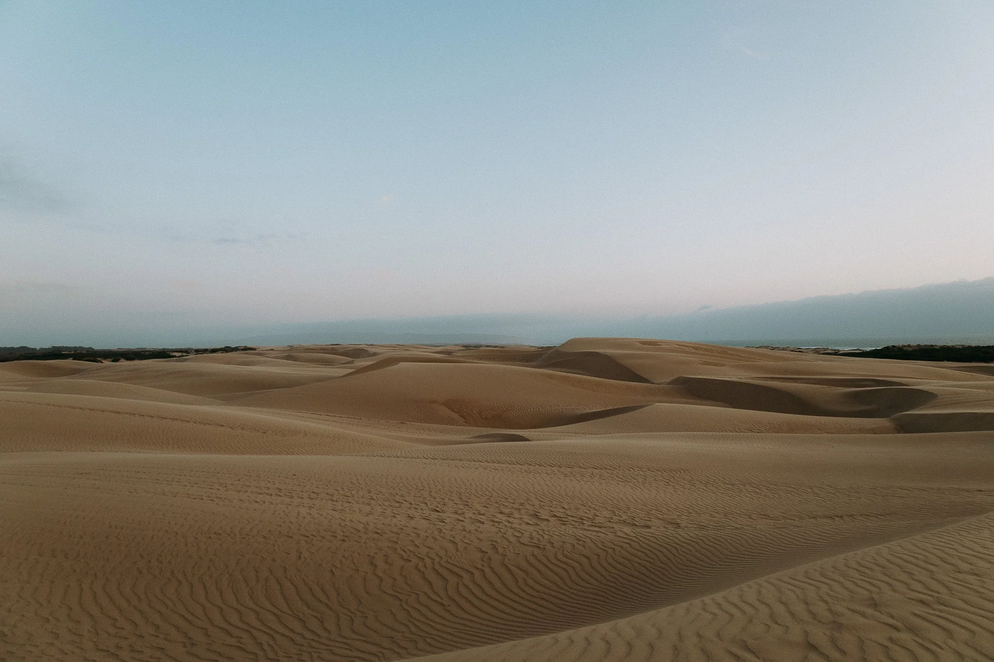 California sand dunes landscape with rolling sand dunes under a clear sky.