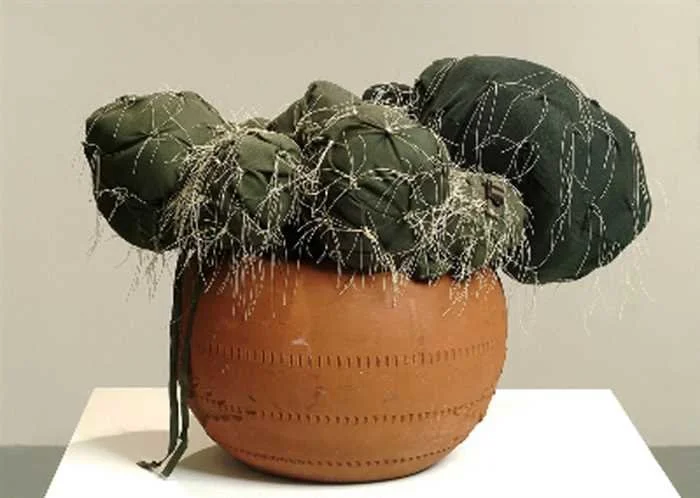 Barrell Cactus #1