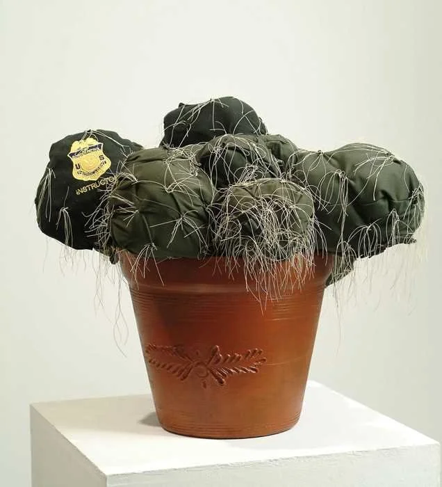 Barrell Cactus #3