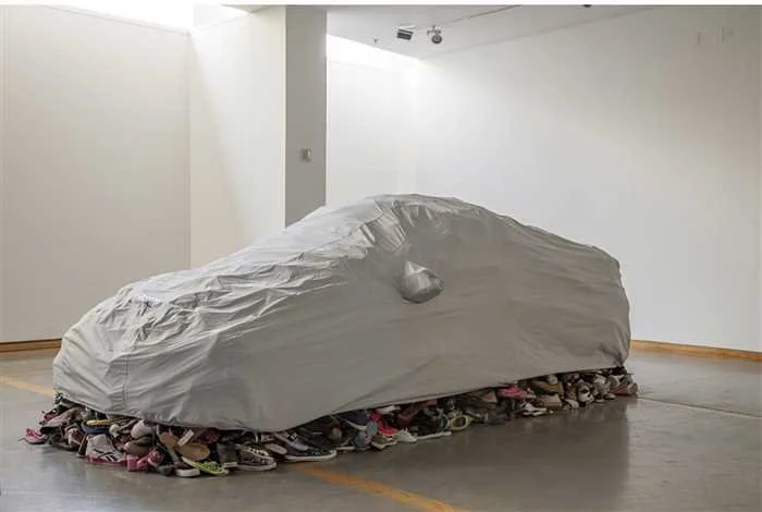 Car Cover and Export Shoes