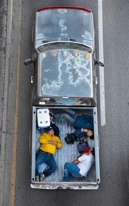 Car Poolers 43