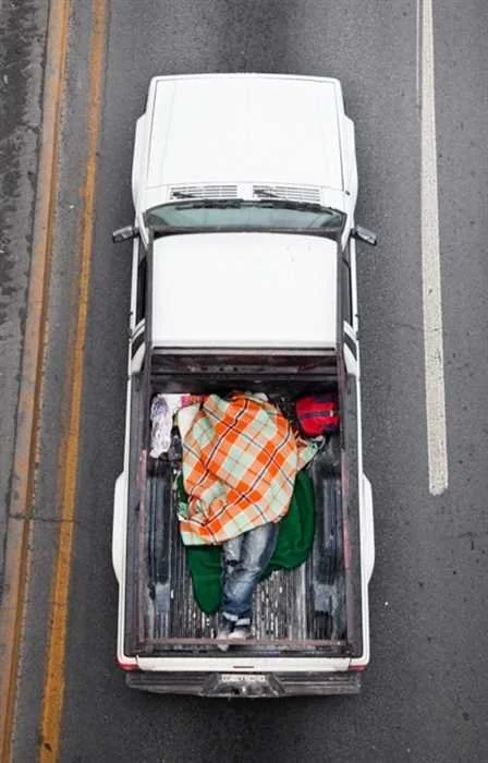 Car Poolers 17