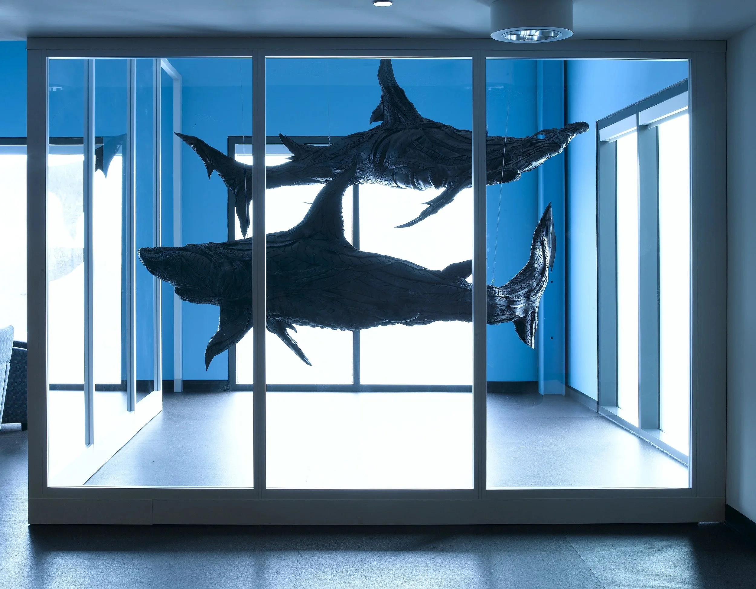 Hammerhead Shark