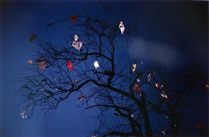Night Kites