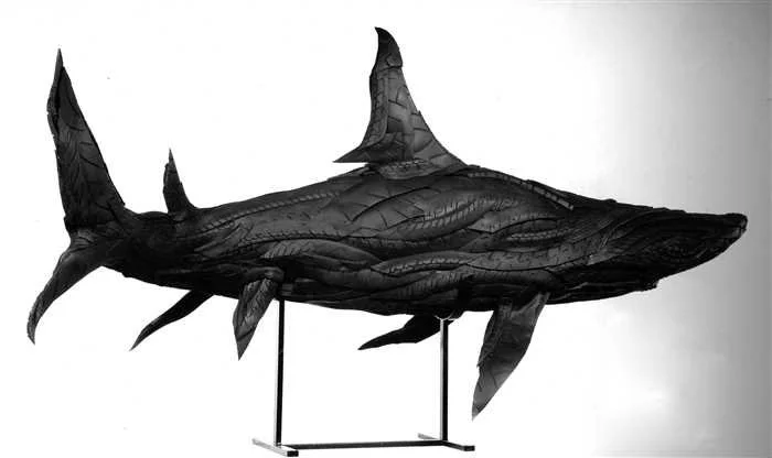 Shark 6