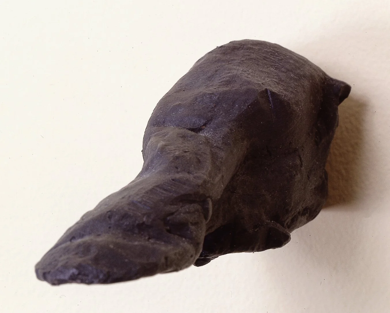 Small Tongue (40 Separate Sculptures)