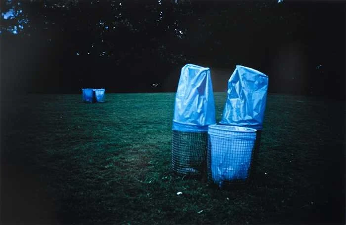 Two Trashcans Up