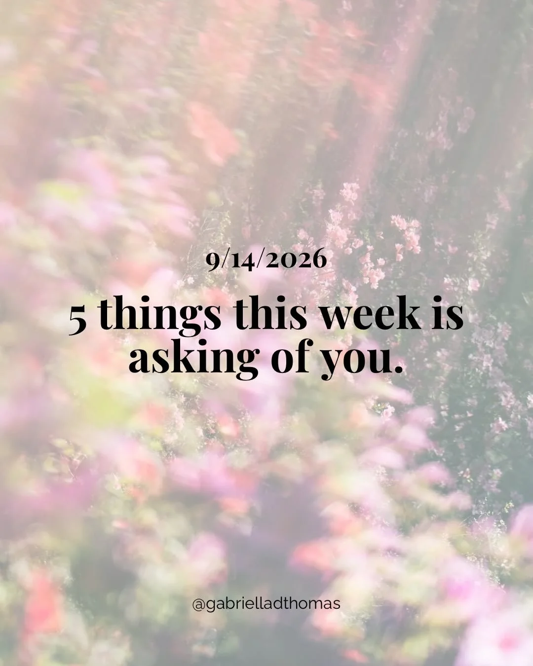 This weeks energy is encouraging you to fully commit to your dreams and take the leap. 

Things don&rsquo;t have to be so complicated and hard. This week live in the energy that it gets to be EASY.🤍✨🙌🏼

For the full intuitive update, keep reading 