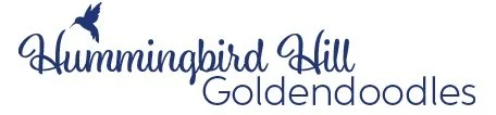 Your Site Title