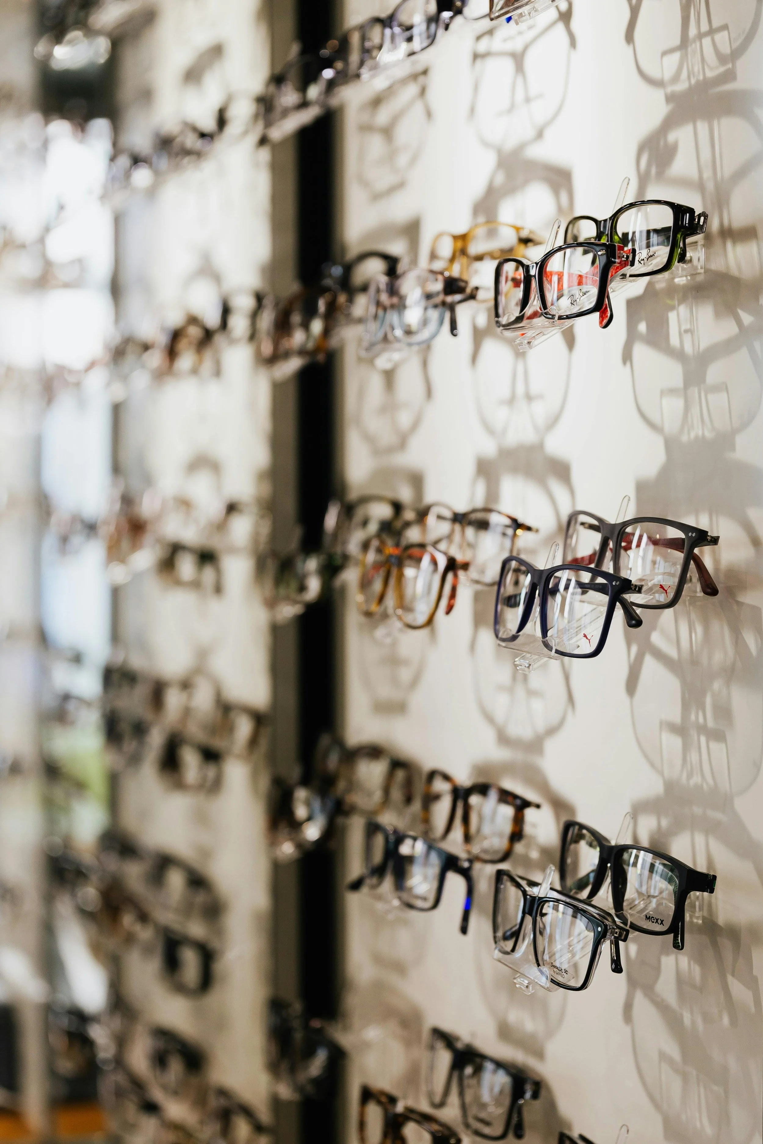 Multiple pairs of eyeglasses and sunglasses displayed on a wall.