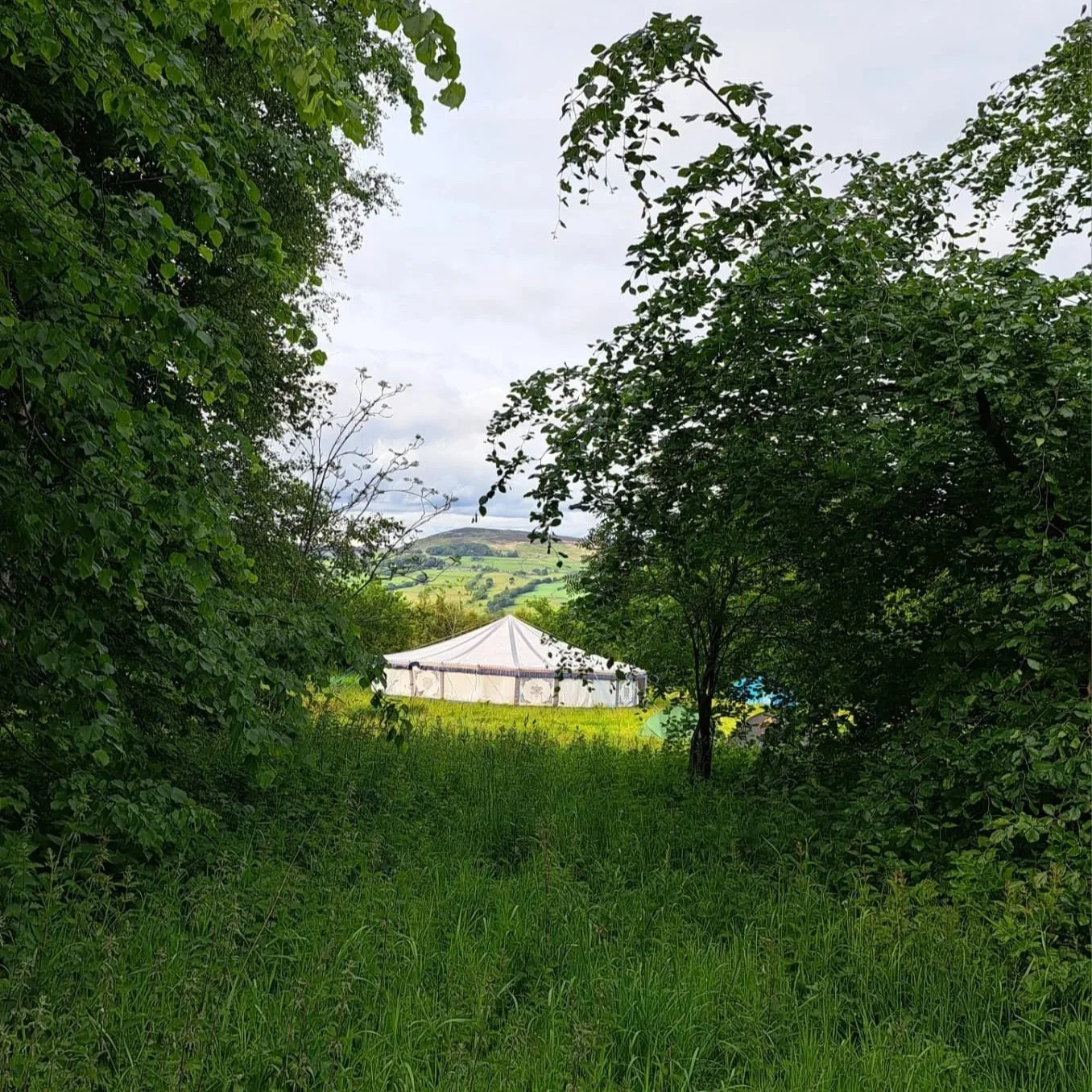 A white tent set up in a grassy field, surrounded by green trees and hills in the background under a cloudy sky.