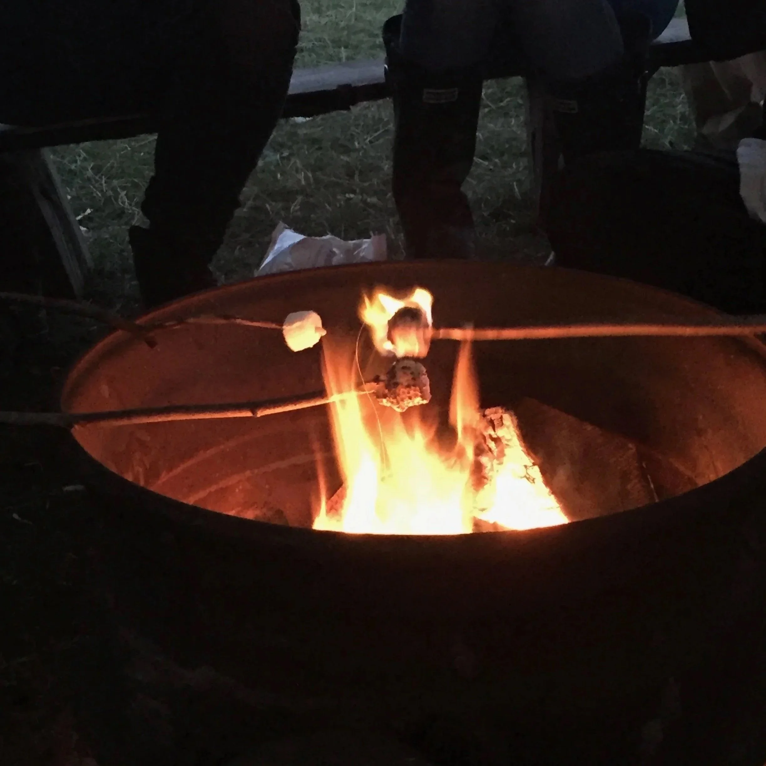 A scene of an outdoor campfire at dusk or night, with visible flames and surrounding grassy area, and shadowy figures standing nearby.