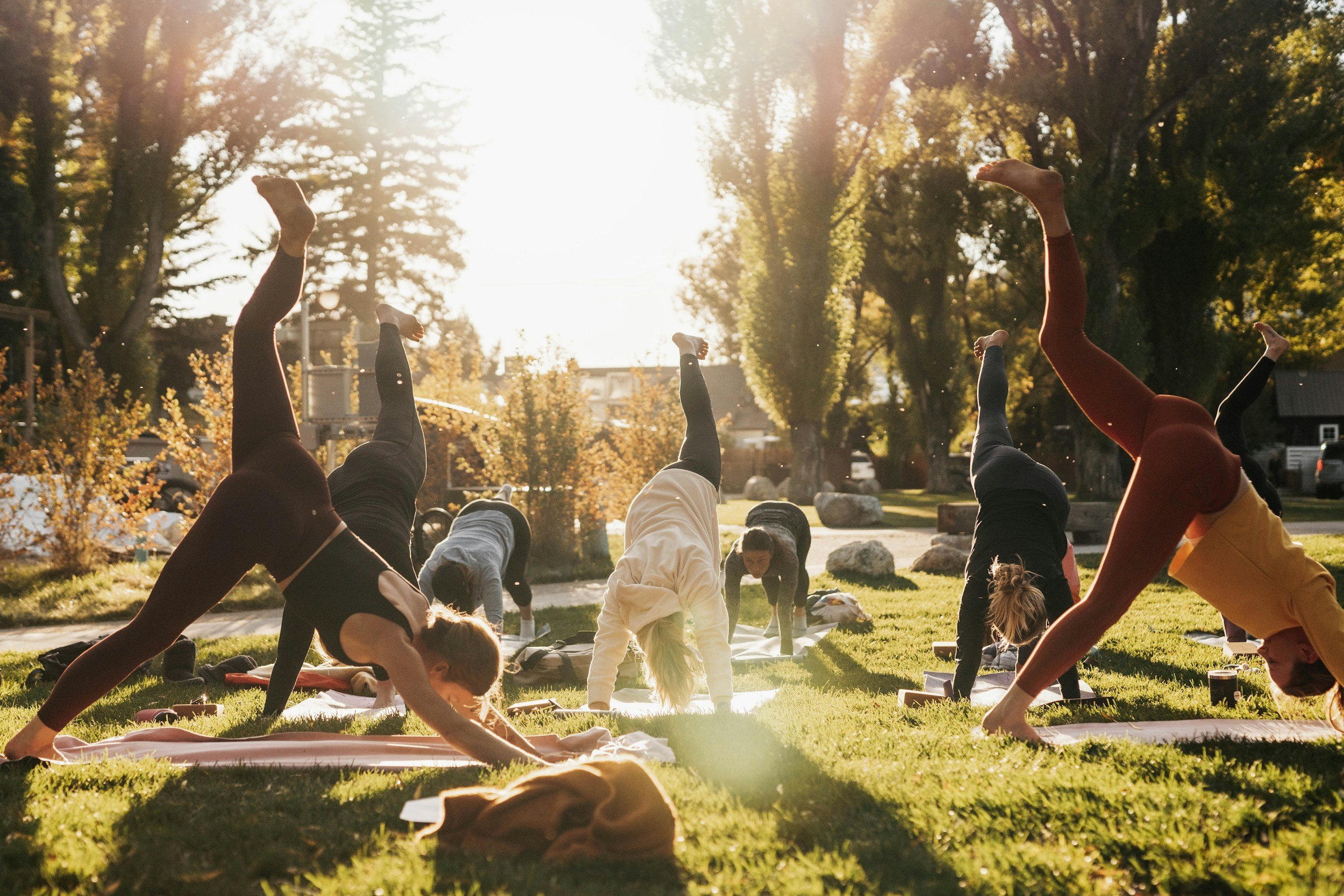 Start your wellness journey