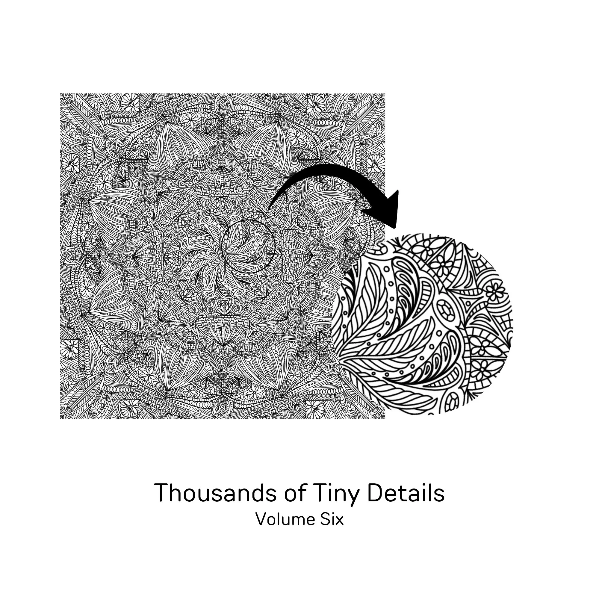 1000063446.jpg
