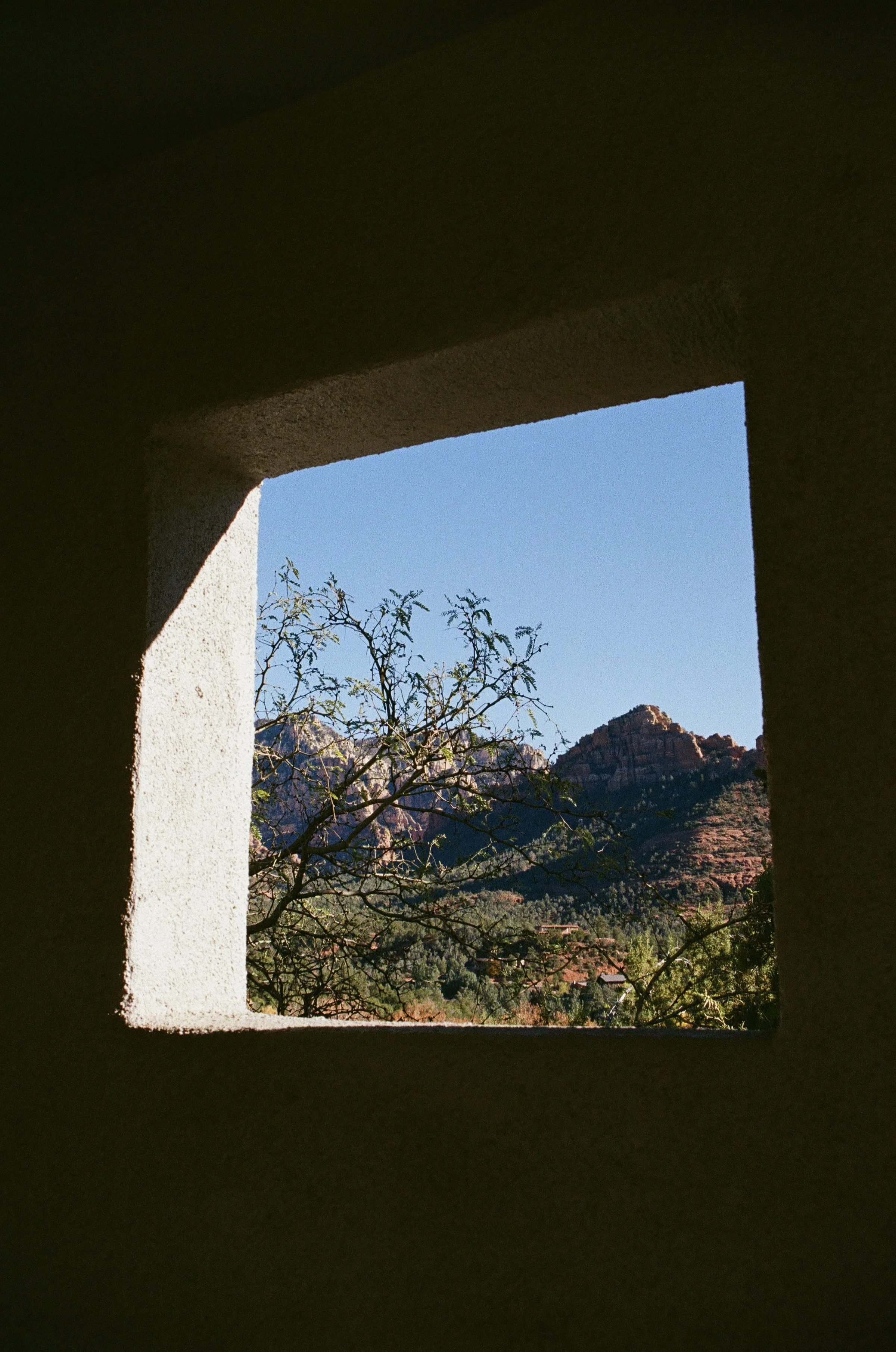 IMG_9877.jpeg