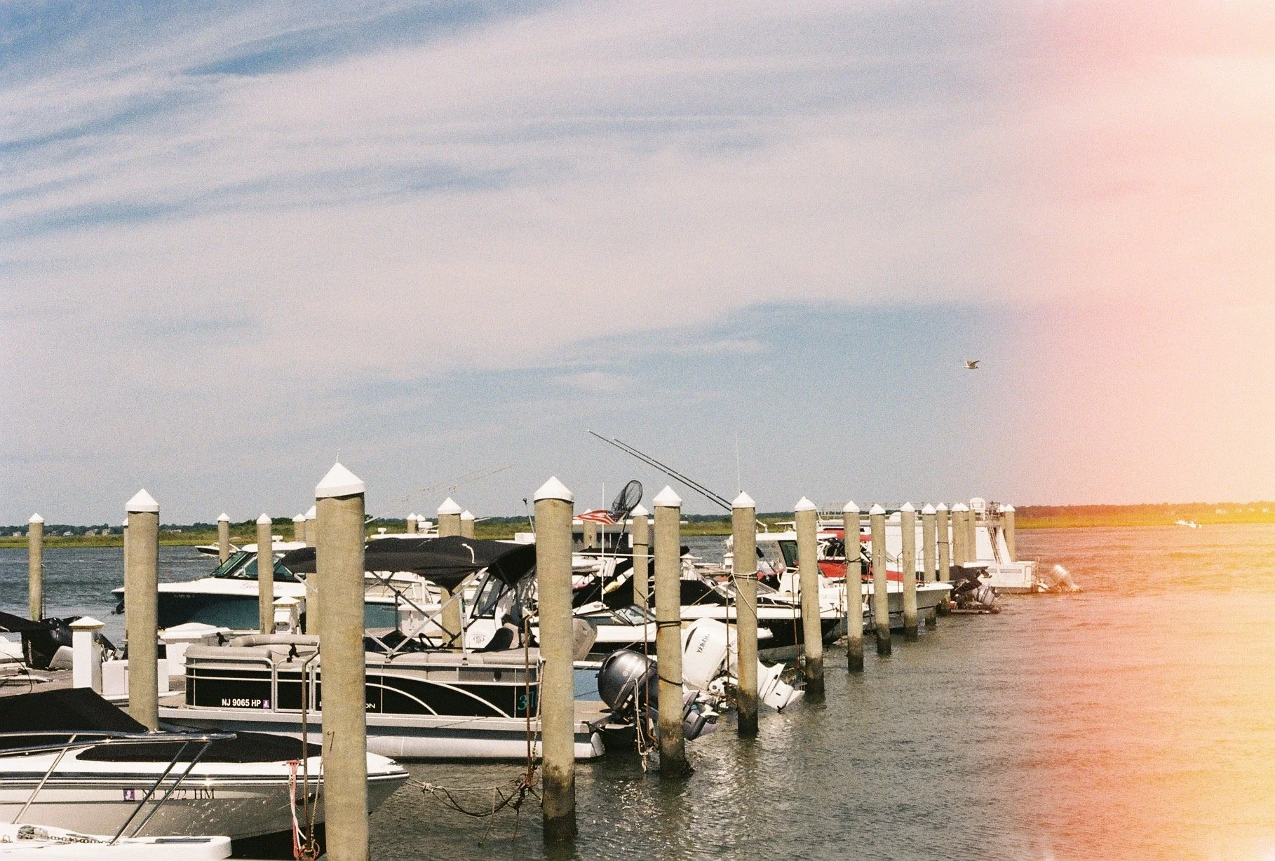 IMG_6998.jpeg