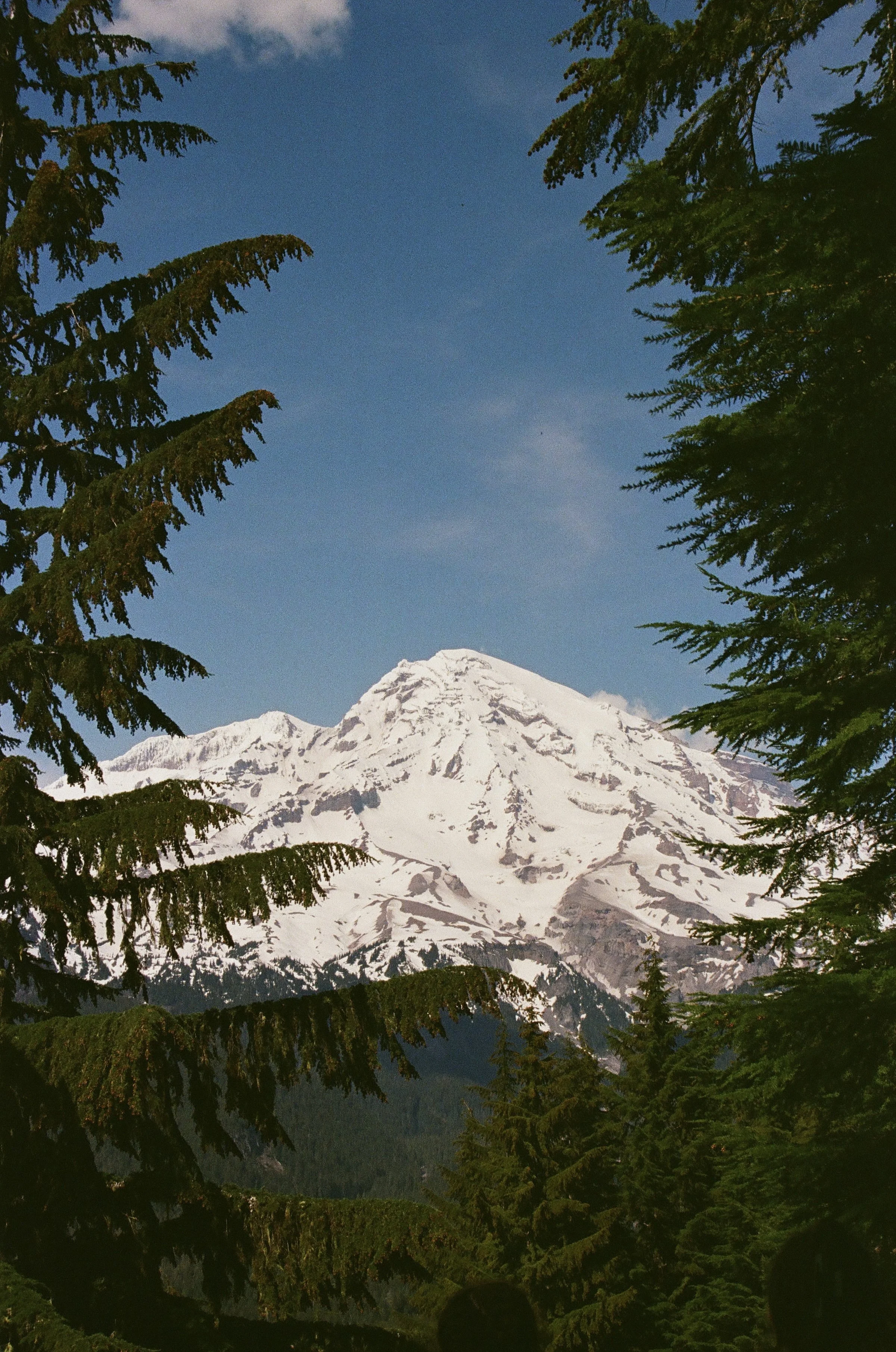 IMG_3987.jpeg