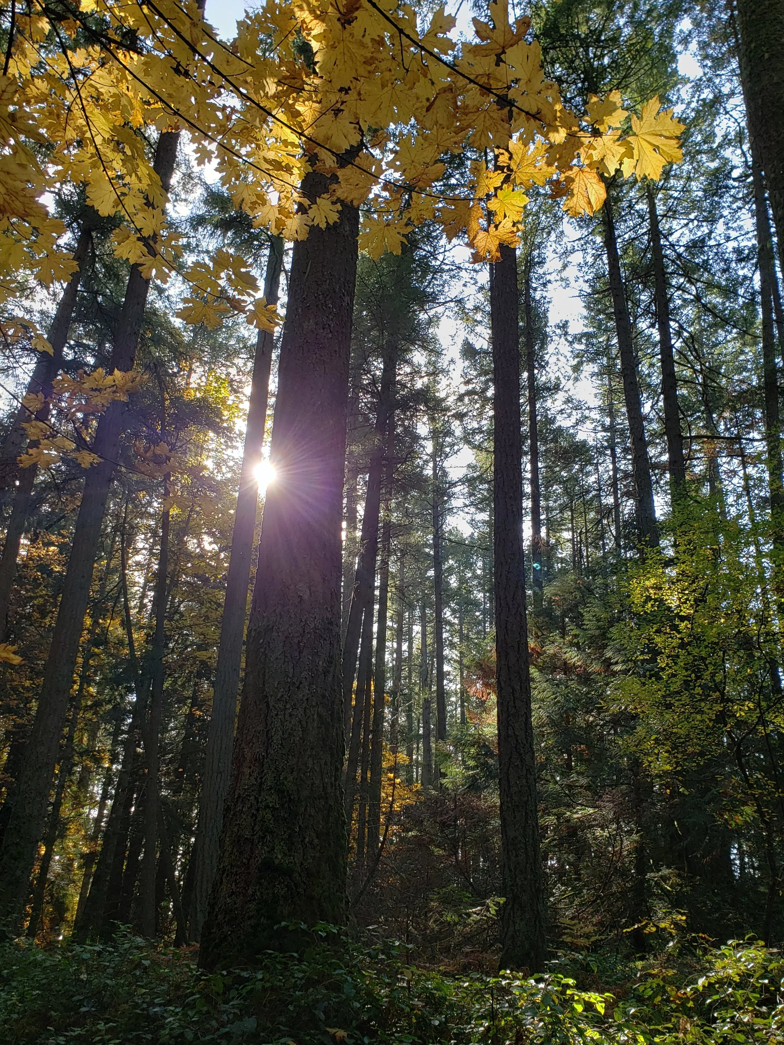 20191026_131424.jpg