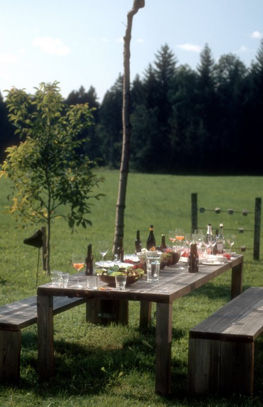 9Baeume09-74.jpg