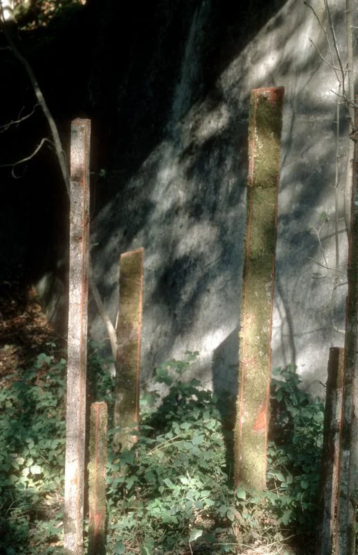 9Baeume09-60.jpg