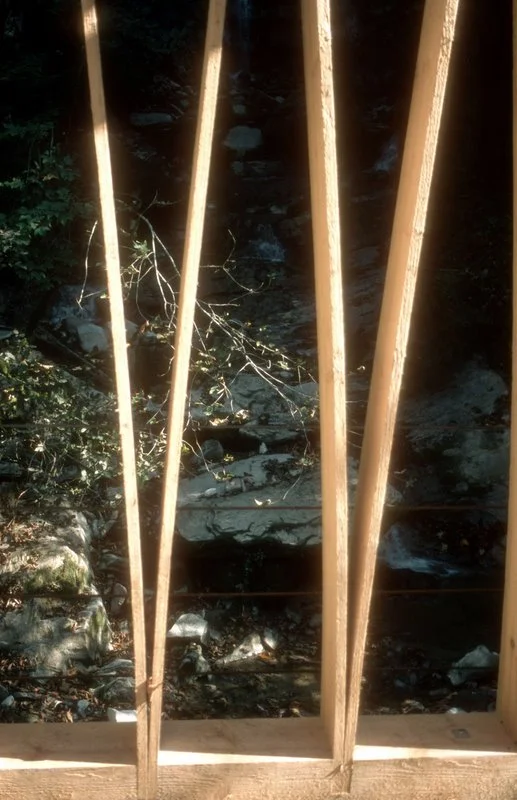 9Baeume09-43.jpg