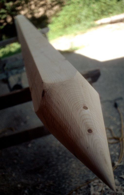 9Baeume09-89.jpg