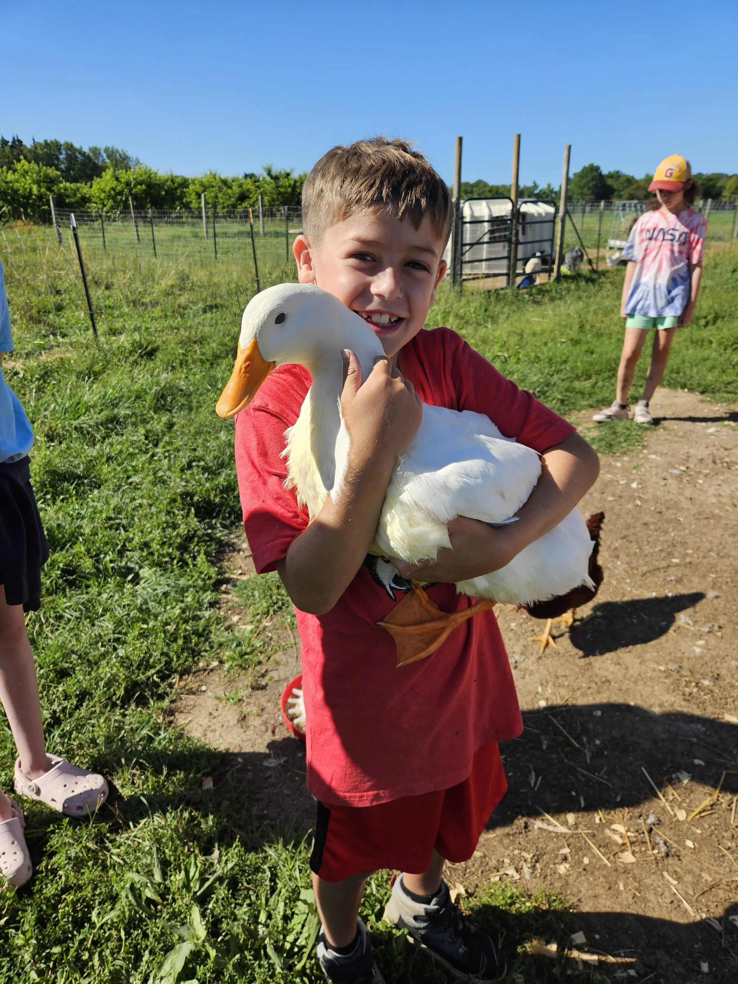 KaleiKids Camp