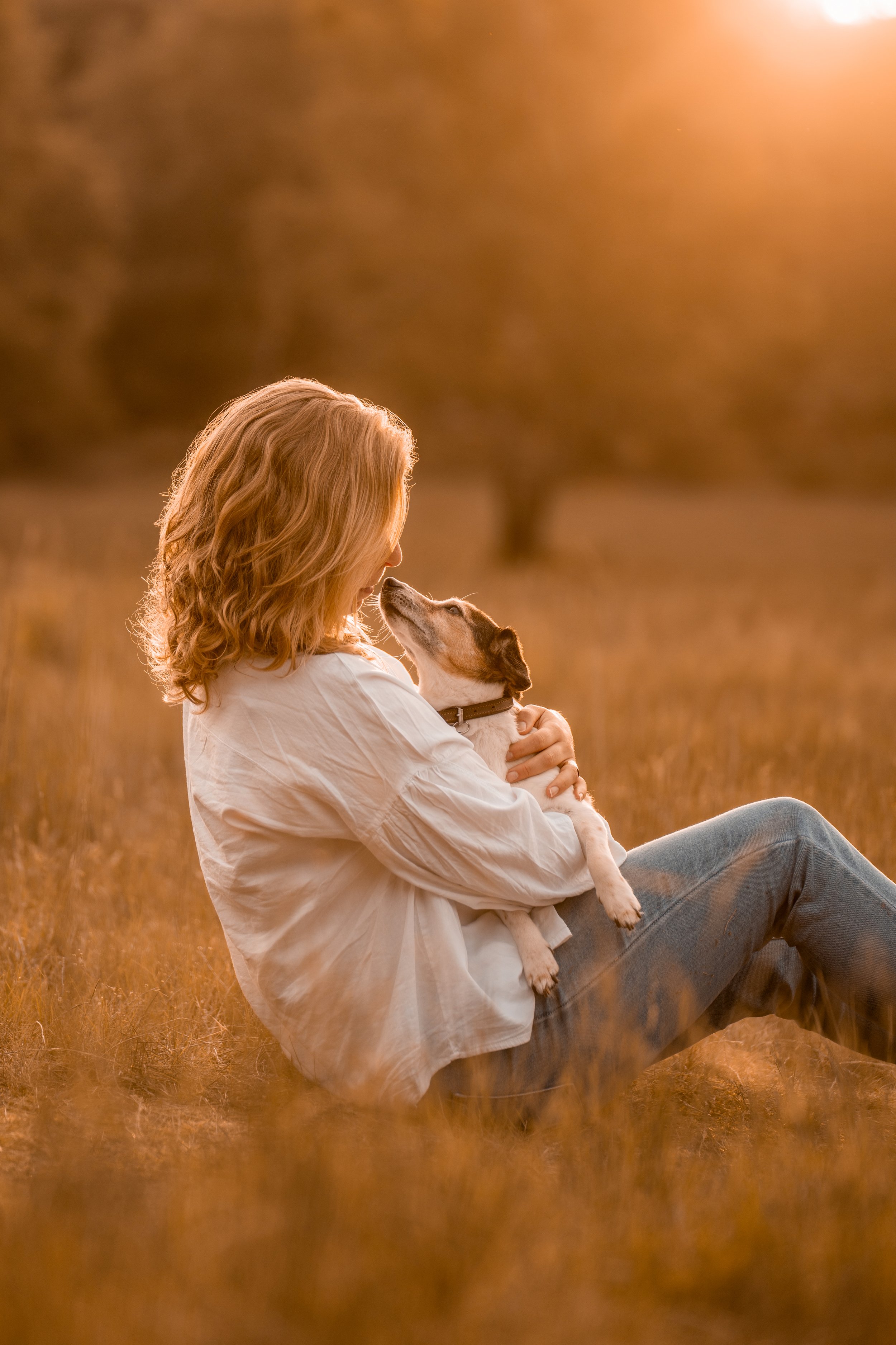 Frau sitzt in einem Feld bei Sonnenuntergang, hält einen Hund und blickt liebevoll auf ihn.