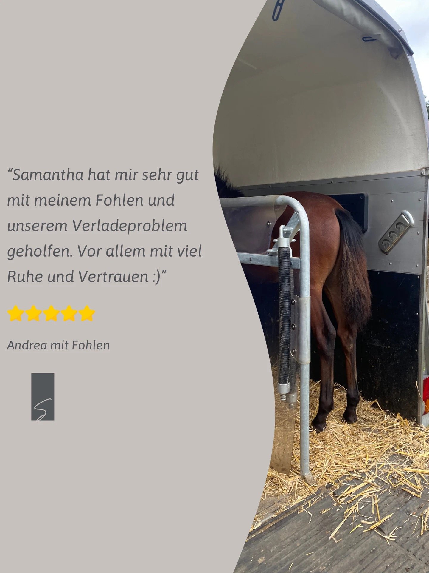 Ein Pferd steht in einem Transportanhänger mit offenem Hintertor, auf dem Boden liegt Stroh.