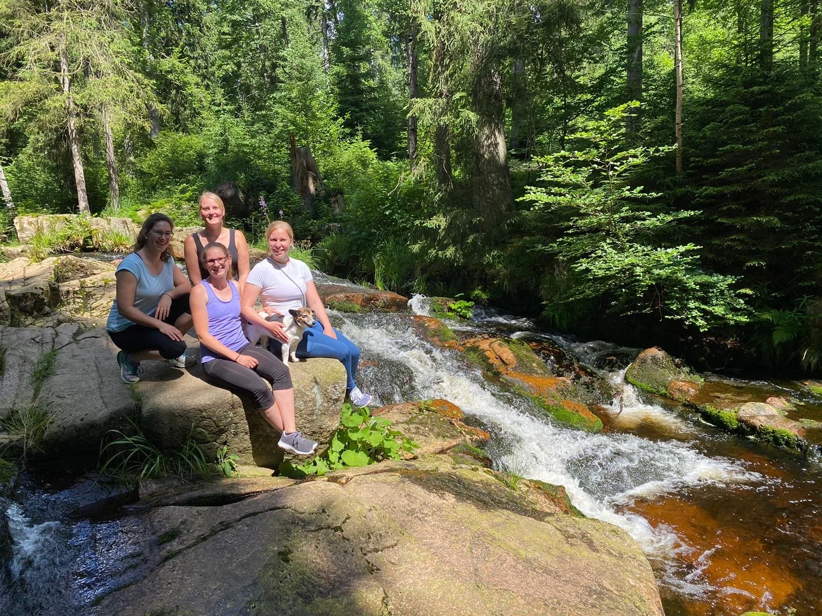 Fünf Frauen mit einem Hund sitzen auf einem Felsen neben einem kleinen Wasserfall in einem grünen Wald.