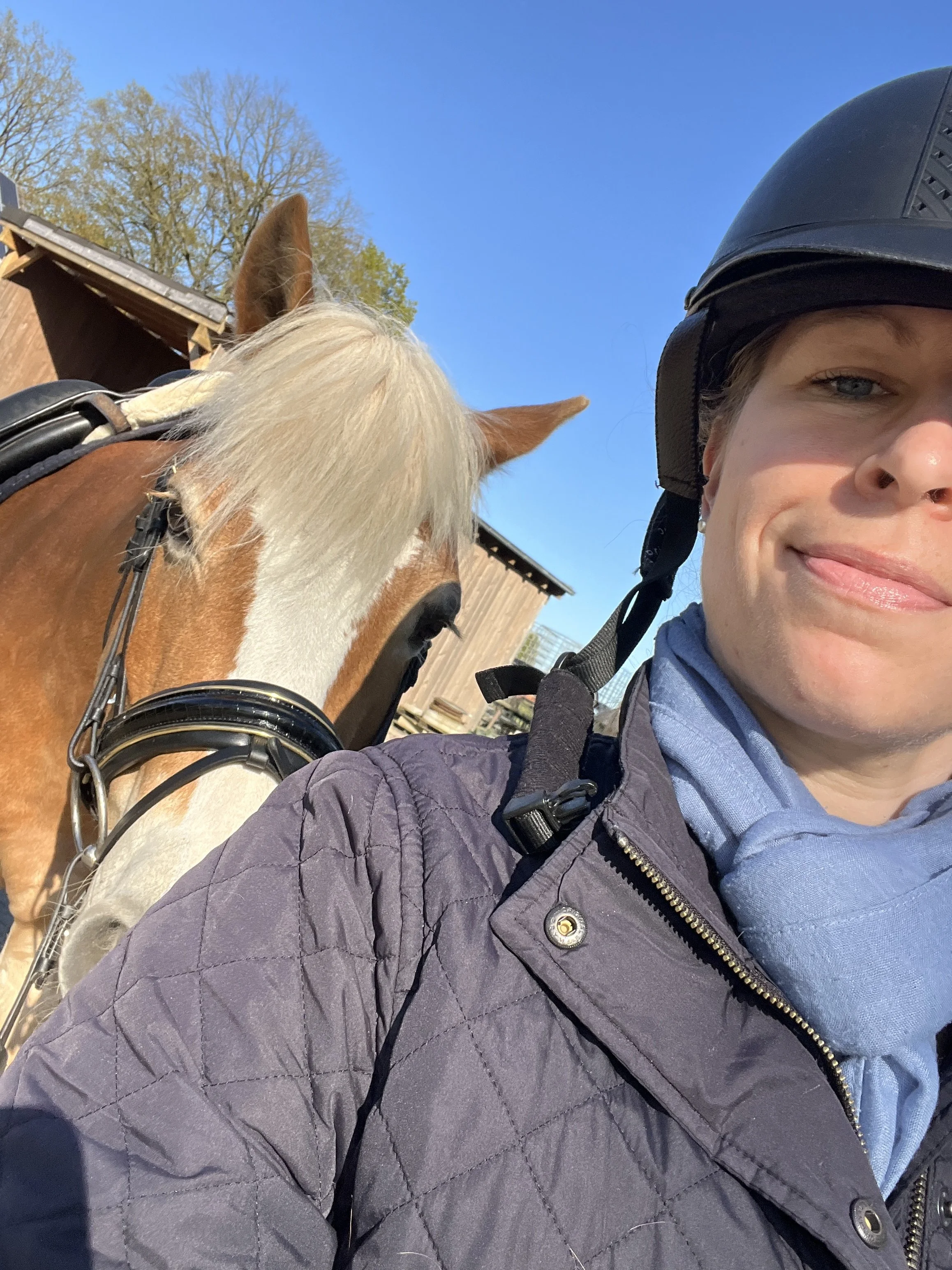 Nahaufnahme eines Reiters mit Pferd im Freien bei Sonnenschein, blauer Himmel, einige Bäume und eine Scheune im Hintergrund.