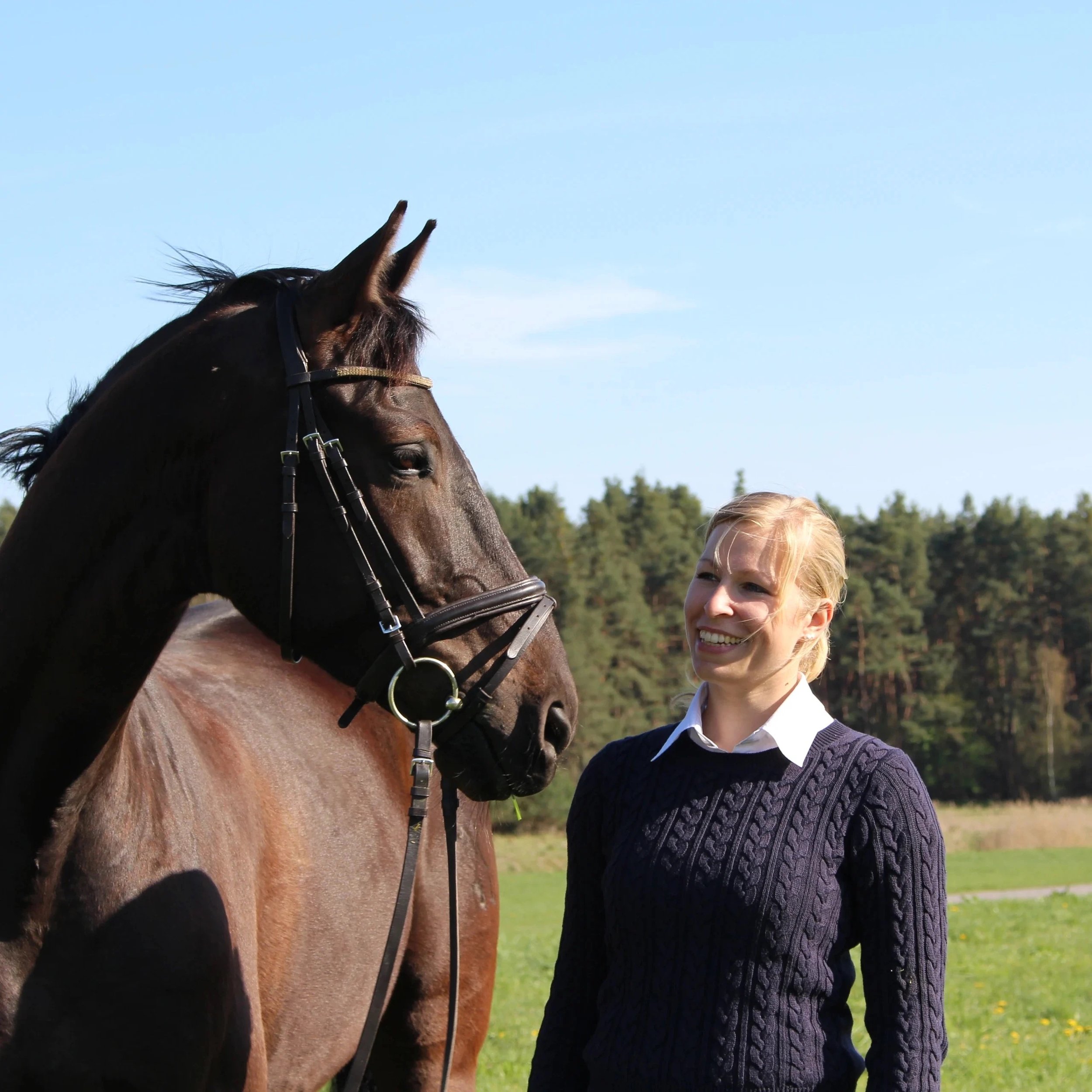 Bodenarbeit; Reitunterricht, Dressur, Springen, Sitzschulung, Doppellonge, Verladetraining und Pferdetraining Gescher – Samantha Gnesner Münsterland
