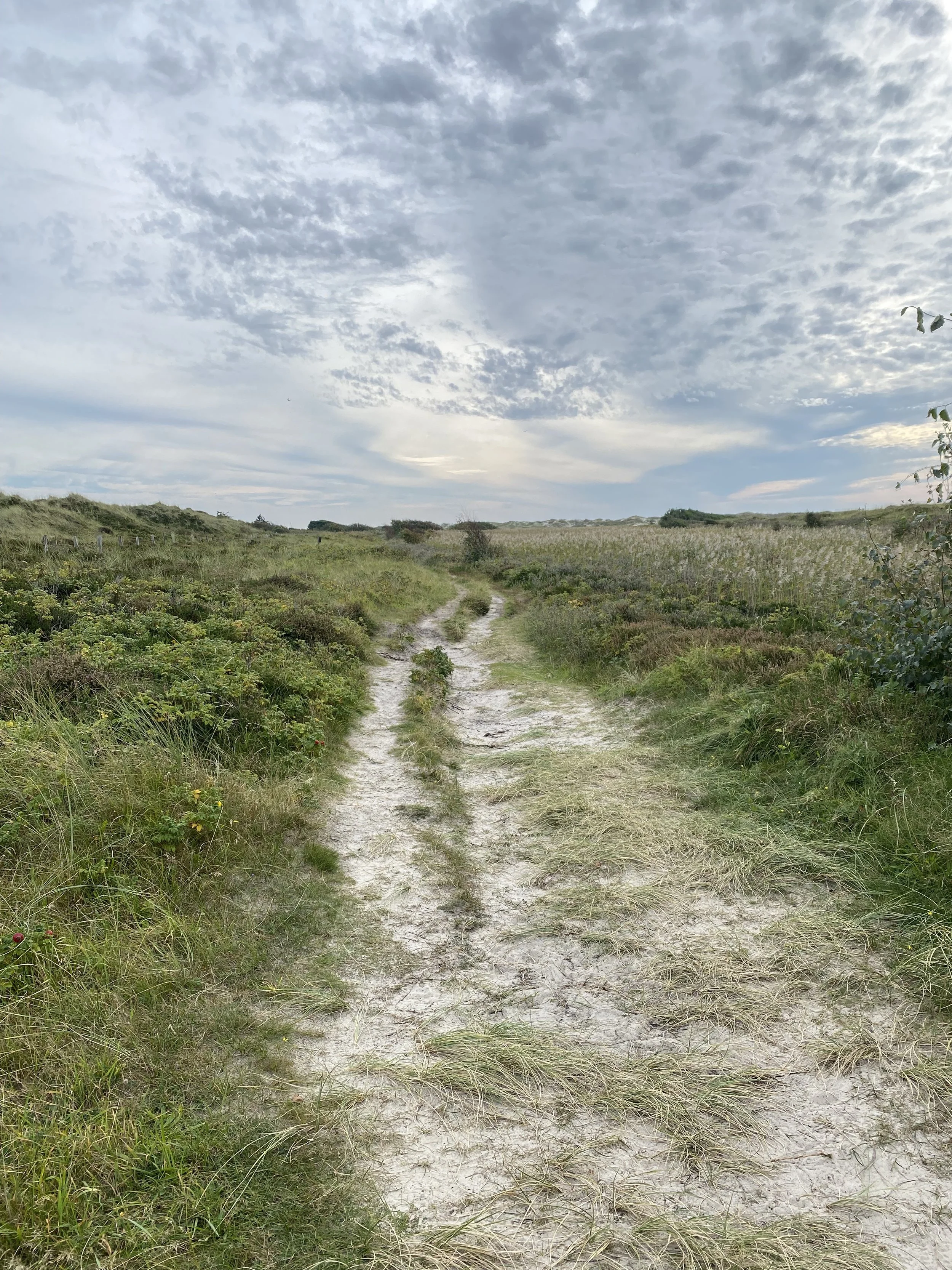Natur-Retreat Lüneburger Heide – Entspannung und Coaching im Grünen – Samantha Gnesner
