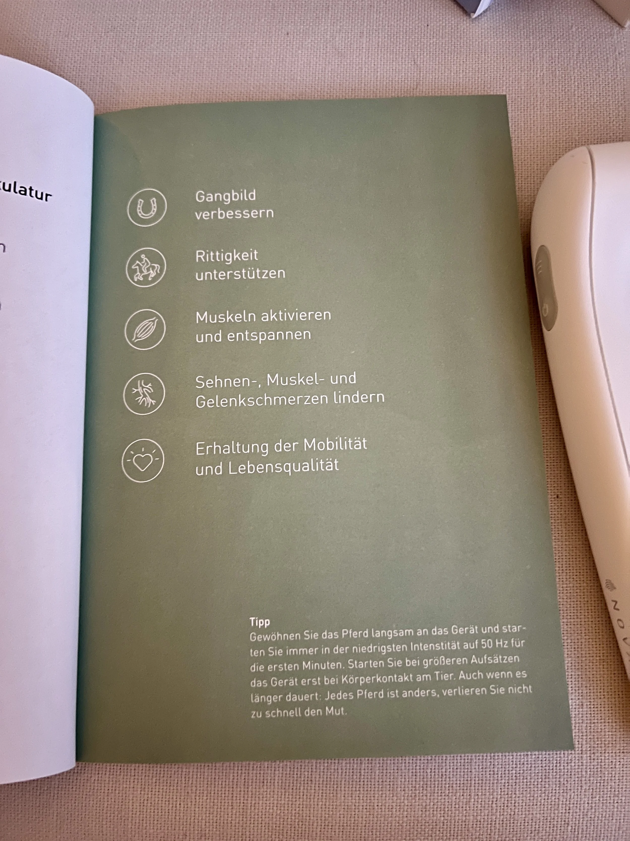 Seite aus einem Ratgeber mit Tipps zur Nutzung eines Fitnessgeräts, mit Symbolen für verschiedene Übungen und Anweisungen in Deutsch.