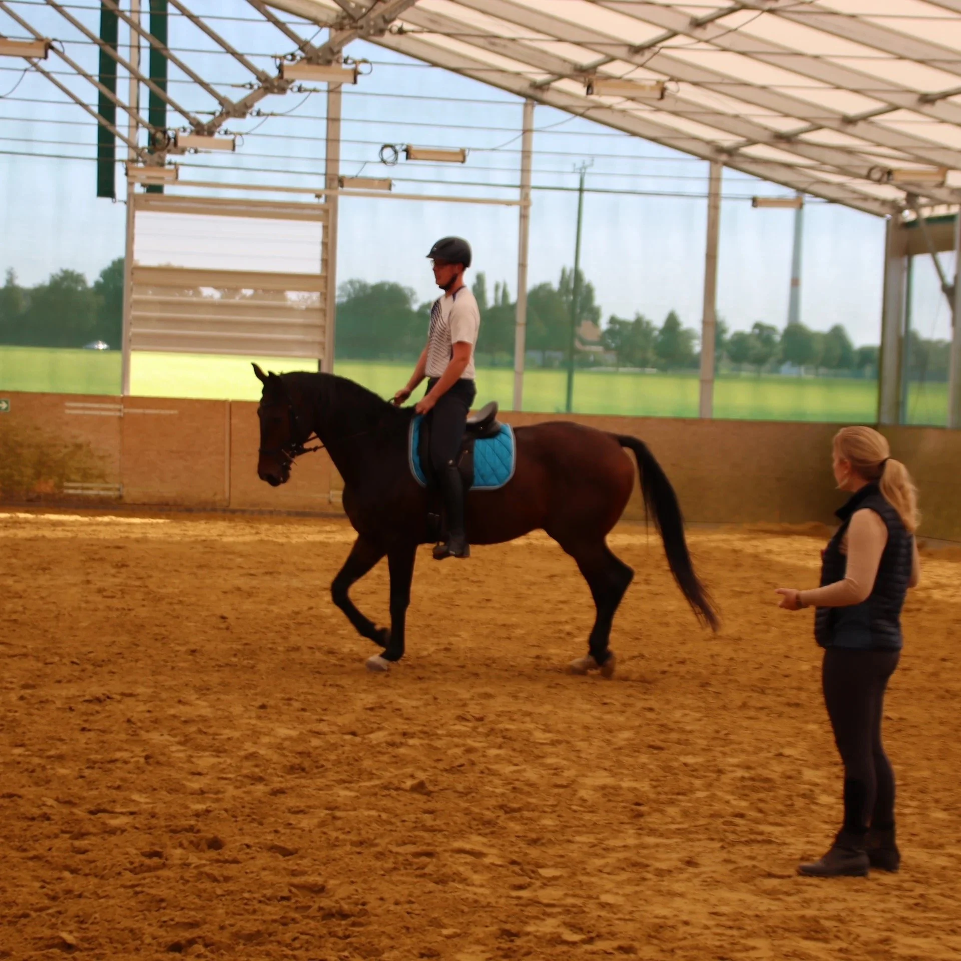 Bodenarbeit; Reitunterricht, Dressur, Springen, Sitzschulung, Doppellonge, Verladetraining und Pferdetraining Gescher – Samantha Gnesner Münsterland