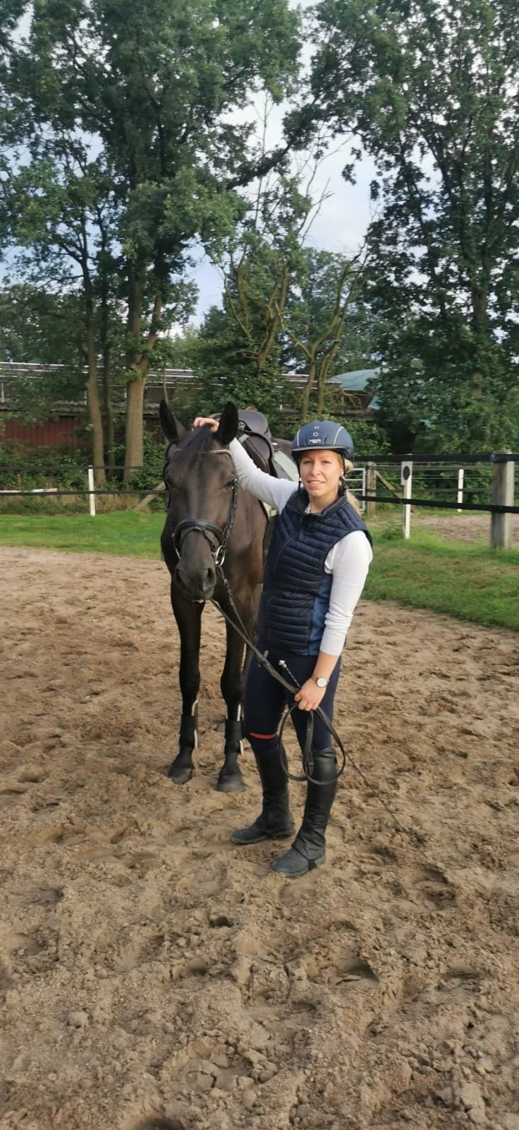 Bodenarbeit; Reitunterricht, Dressur, Springen, Sitzschulung, Doppellonge, Verladetraining und Pferdetraining Gescher – Samantha Gnesner Münsterland